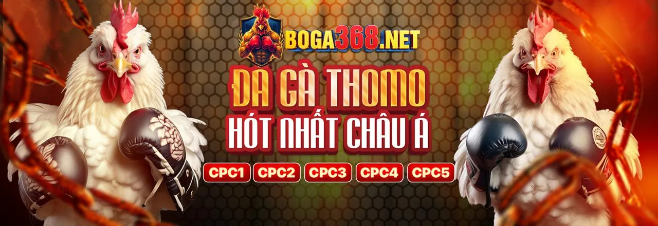 Tổng quan các ưu đãi mới nhất 2024 của DG789 WIN