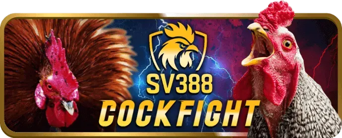 Giao dịch nhanh chóng tại dg789 win